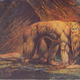 Illustration for article titled Rough, sexual beas...